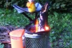 0041 Wood burning stove