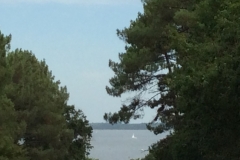 0521 View of Biscarosse?
