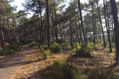 0538 Road to Contis 4