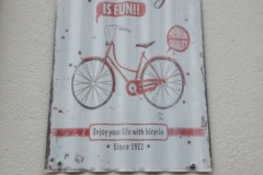 0818 10-9 cycling ad