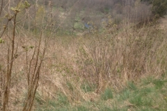 8222 27-4 view