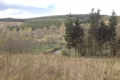 8226 27-4 view