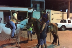 1852  5-1-18 horses