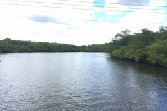 1862  7-1-18 river