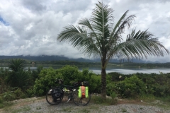 2266 7-2-18 bike under palm tree