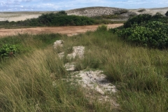 2268 7-2-18 dunes