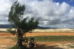 2271 7-2-18 bike under palm tree