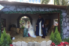 1188  1-12 nativity