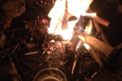 0230 14-8 campfire