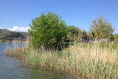 7755 9-4 river view