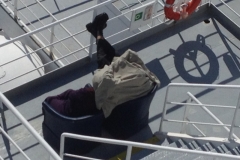 7509 19-3 sunbathing on the ferry