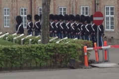8764 17-5 guards Copenhagen
