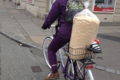8774 17-5 cyclist Copenhagen