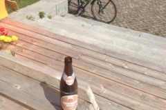 9991 31-7 bike and beer
