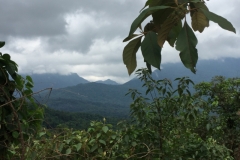 9310  5-7-19 view