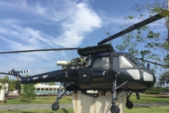 5561 26-1-19 thelicopter