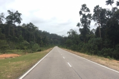 5583 27-1-19 road