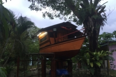 5607 28-1-19  tree boat