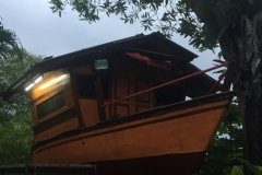 5608 28-1-19  tree boat