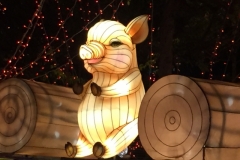 5697 2-2-19 pig in lights