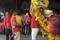 6125 15-2-19 Lion dancer