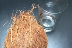 5006 2-1-19 Coconut