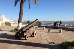 4965 17-1 cannon