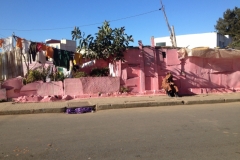 4987 17-1 pink house