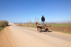 5001 17-1 Horse & flatbed cart