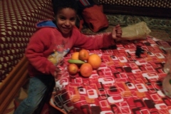 5136 21-1 Yousan with oranges