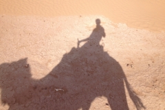 6614 11-2 camel ride into the desert