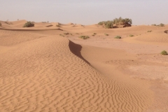 6617 11-2 camel ride into the desert