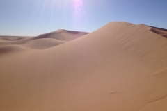 6679 14-2 dunes