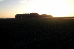 7258 10-3 trees