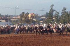 7280 11-3 horse race