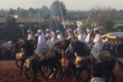 7282 11-3 horse festival