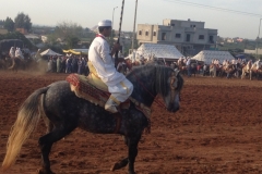 7284 11-3 horse festival