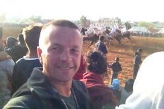 7285 11-3 horse festival