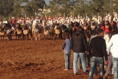 7287 11-3 horse festival