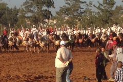 7288 11-3 horse festival