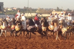 7289 11-3 horse festival