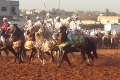 7290 11-3 horse festival