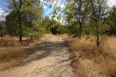 0782 path