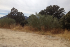 0902 road