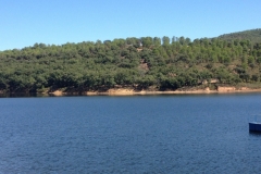 1021 lake