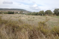2162 24-10 football pitch?