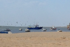 2434 1-11 When the seagulls follow the trawler