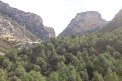 2944 9-11 cliffs and trees