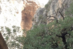 2950 9-11 cliffs and trees