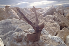 3355 20-11 driftwood on the rocks